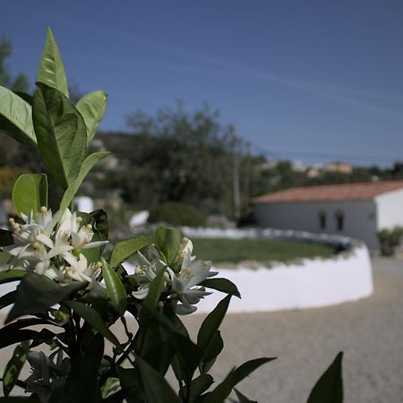 Suite Swimming Pool Quinta Da Eira 140 Years Old Loulé Esterno foto